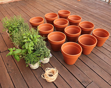 vasi e piante aromatiche per orto verticale